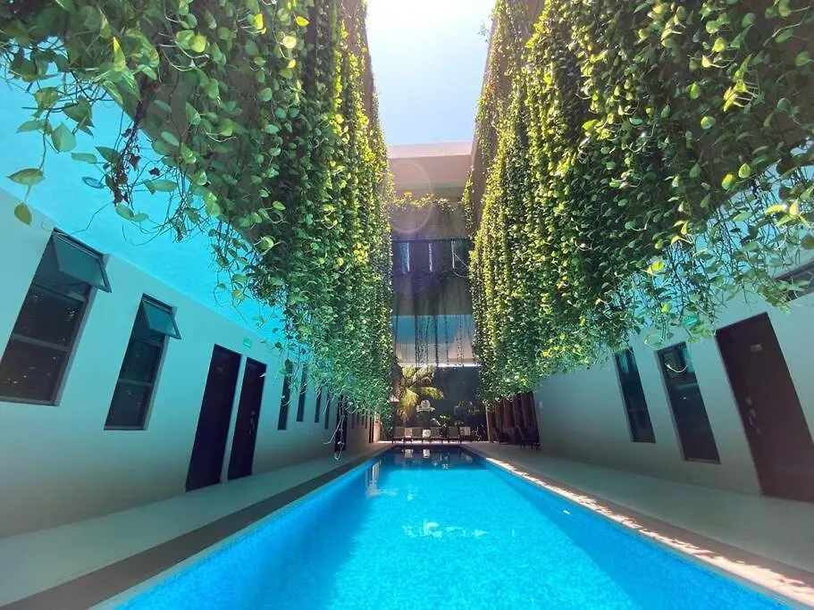 Apartament Beauty Suite W Gym Sauna Pool Close 5Th Ave &Beach Playa del Carmen Meksyk