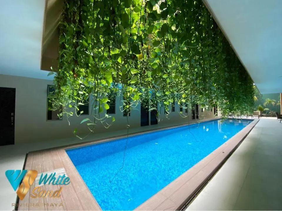 Beauty Suite W Gym Sauna Pool Close 5Th Ave &Beach Playa del Carmen 0*,  Meksyk